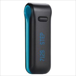 Fitbit Wireless Personal Trainer