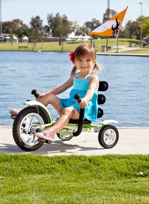 Mobo Mini Cruiser