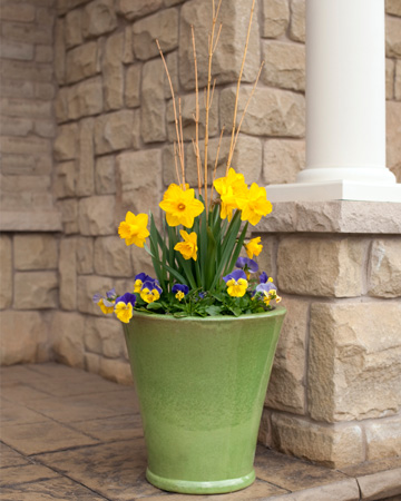 Pansies on front porch