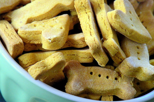 Pumpkin dog biscuits