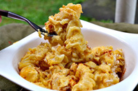 Baked Pumpkin Mac and Cheese