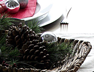 Shannon Acheson Christmas decor