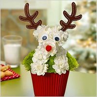 Rudolph-themed floral arrangement