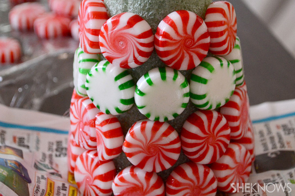 DIY candy mint Christmas tree -- glue mints on tree