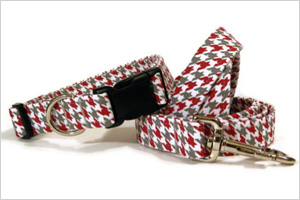 Festive leash