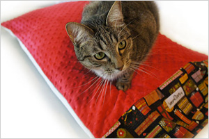Pillowcase pet bed cover