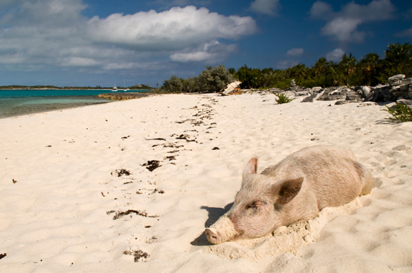 The Exumas -- Bahamas