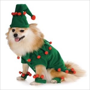 Elf costume