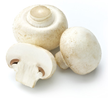 mushroom