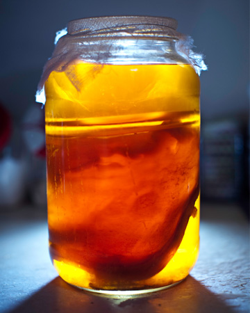 Kombucha tea