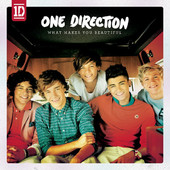 What Makes you Beautiful One Direction