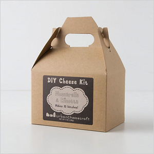 Mozzarella and ricotta cheese kit