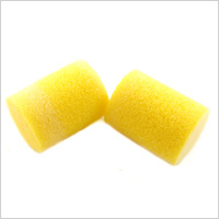 ear plugs