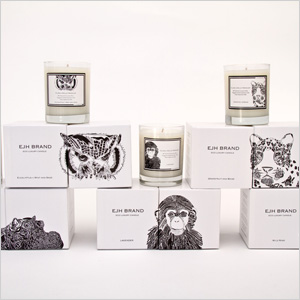 Ejh brand candles