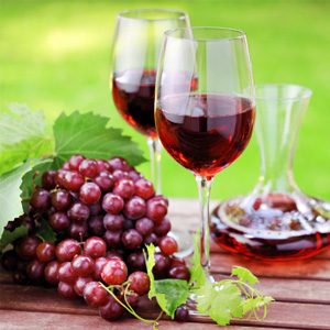 winery tour