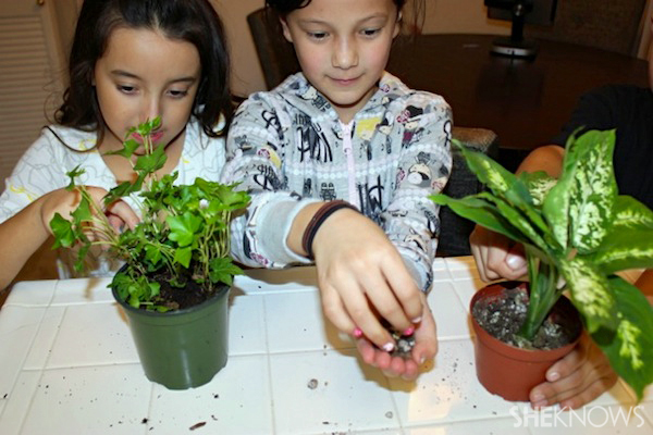Rainy day activities - Kids gardening