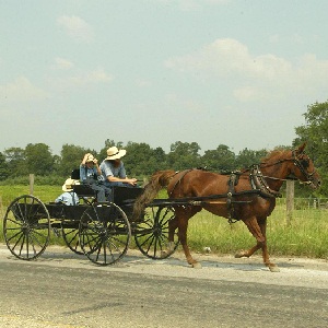 Amish family