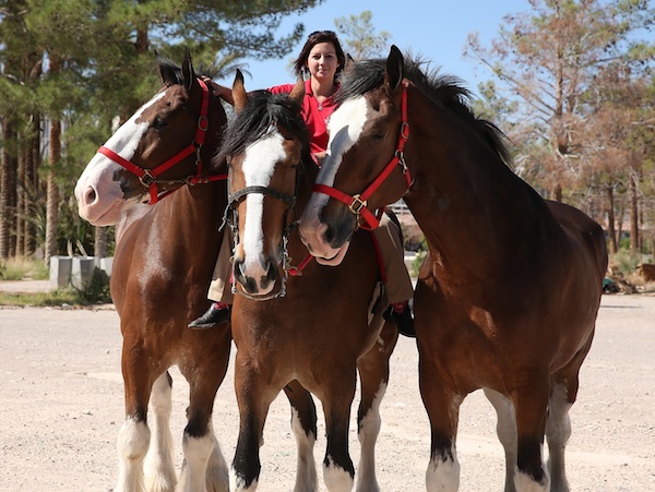 Clydesdale Super Bowl Commercial 2013 Song