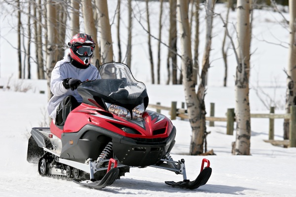 A man rides a snowmobile next to Aspen trees.