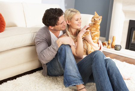 Couple playing wiht cat