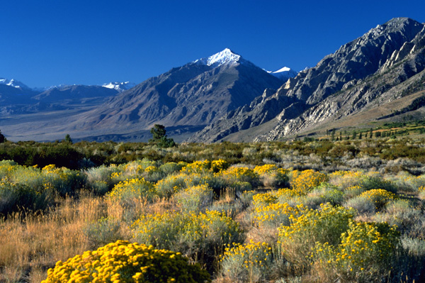 Eastern Sierra, California