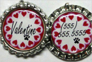 Pet ID tag