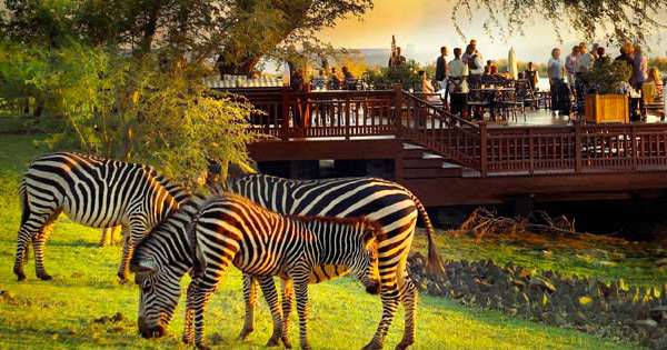 Royal Livingstone, Zambia