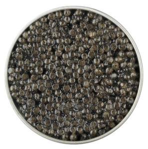 Caviar