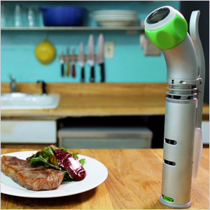 Nomiku Home Immersion Circulator (sous vide machine)