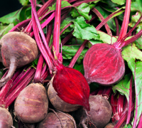 Beets