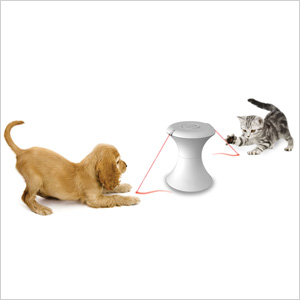 The Laser Chase Toy