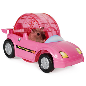 Hamster Racer