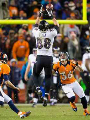 Baltimore Ravens Dennis Pitta