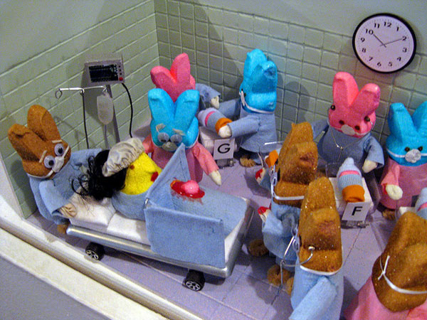Octopeep