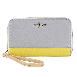 Cole haan clutch
