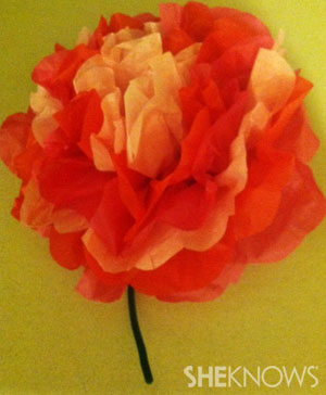 Tissue paper flowers