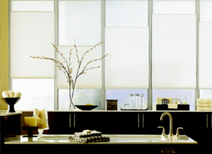 Roller shades