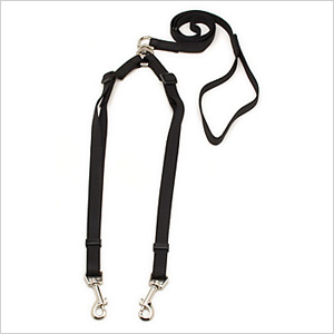 Leash for two