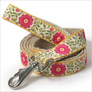 Spring leash