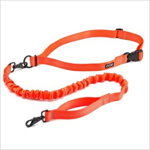 Best Dog Leash For Running Best Dog Leash For Running