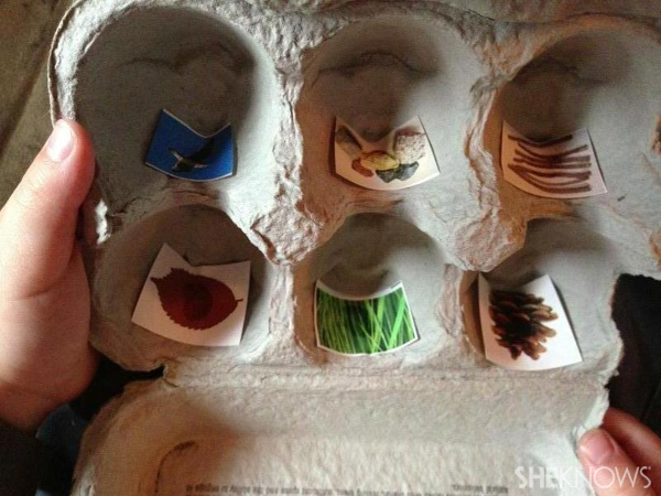 cut out container