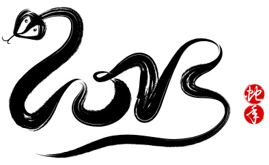Year of the snake