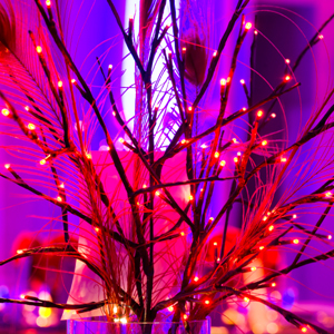 Wedding table centerpieces