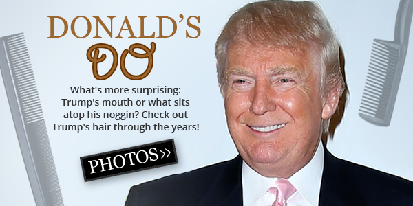 Donald Trump Hair