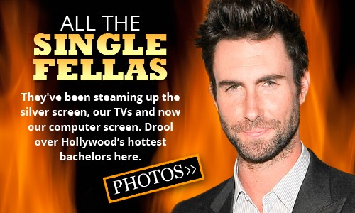 Hottest Bachelors