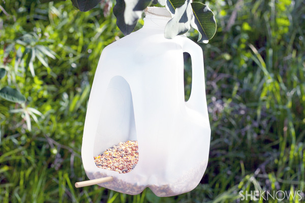 Milk jug bird feeder