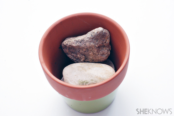 Chia pet craft - Add rocks