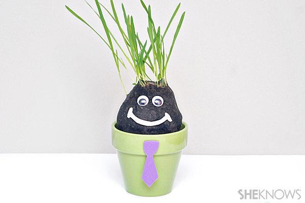 Chia pet craft
