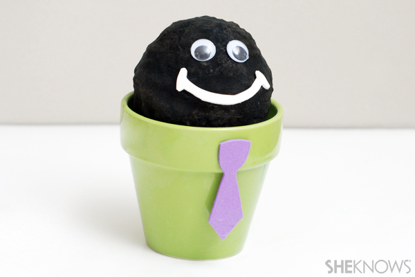 Chia pet craft - Add face