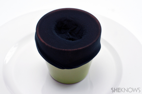 Chia pet - Nylon over pot